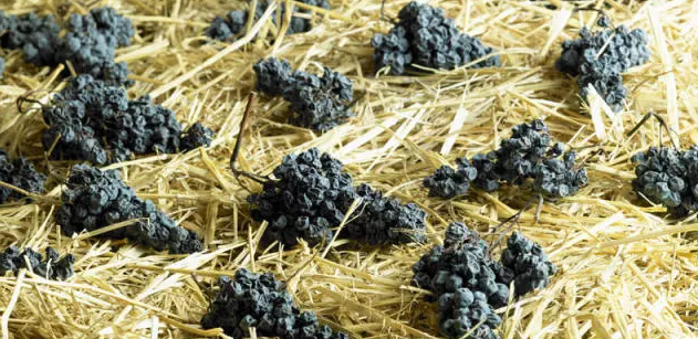 葡萄酒糖分越高,酒精度就越低?